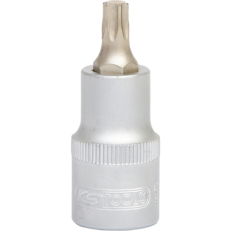 Ein silberfarbener Torx-Einsatz für Schrauben, Detailaufnahme. Oben sternförmiger Kopf, darunter zylindrischer Körper.